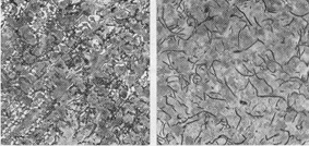 effect of inoculation on graphite and microstructure in grey iron