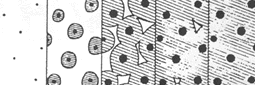 Fig.12 Solidification of nodular cast iron