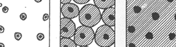 Fig.14 The solidification of the graphite-austenite eutectic in nodular cast iron