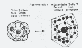 Fig.18 Conglomeration of graphite nodules, eutectic cell