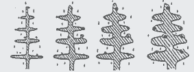 Fig.19 Euctectic solidification of nodular cast iron