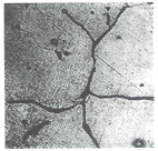 Fig.2 