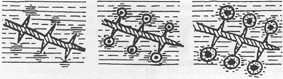 Fig.4 Graphite nodules formed by the decomposition of cementite