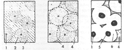 Fig.6 Graphite nodules formed by the decomposition of super-saturated austenite